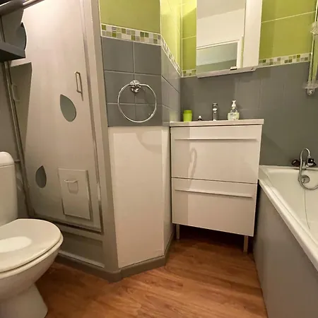 Griou 98 Appartement Le Lioran
